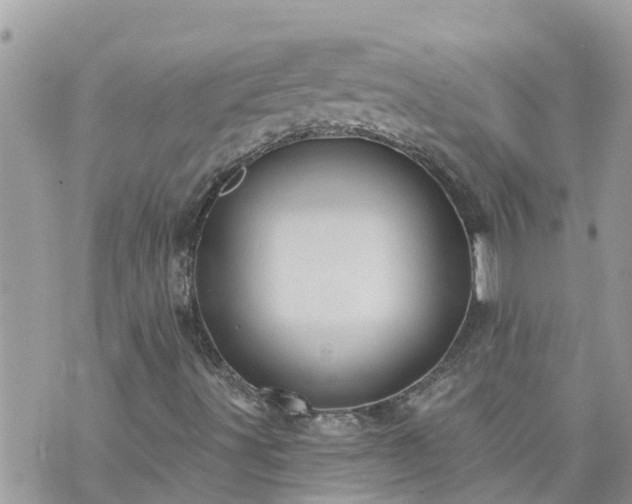 X0000073731491200608101916