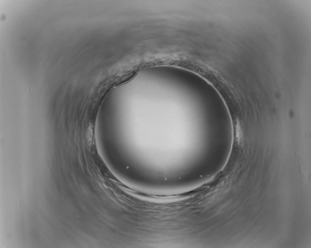 X0000073731492200608101916