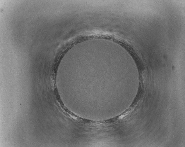 X0000073731493200608101916