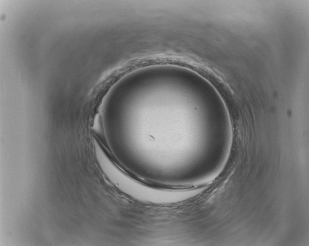 X0000073731494200608101916