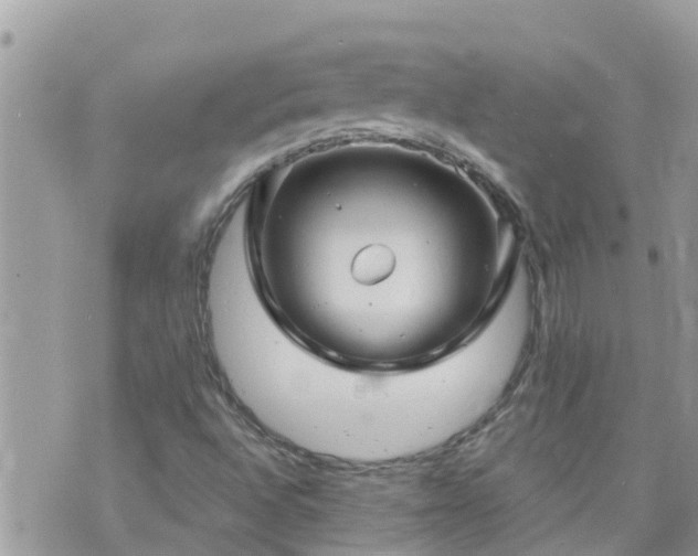 X0000073731496200608101916