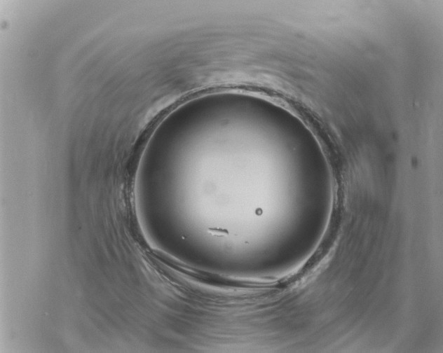 X0000073731497200608101916