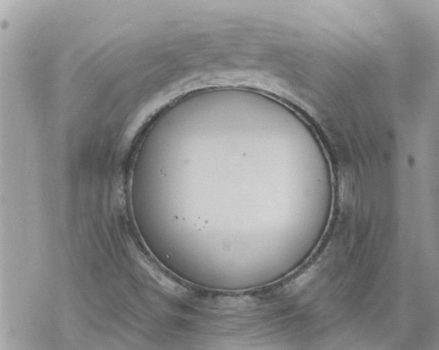 X0000073731498200608101916