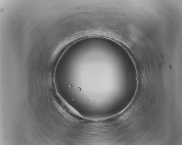 X0000073731499200608101916