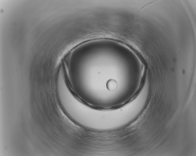 X0000073731500200608101916