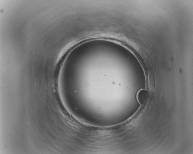 X0000073731501200608101916