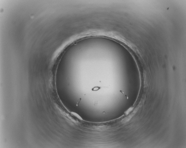 X0000073731502200608101916