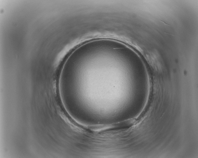 X0000073731503200608101916