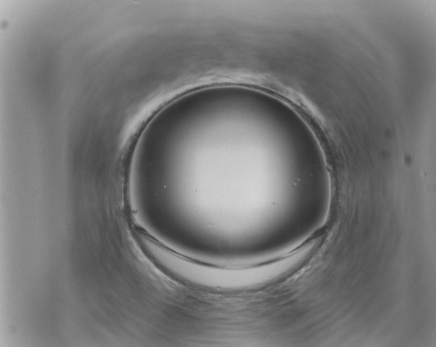 X0000073731504200608101916