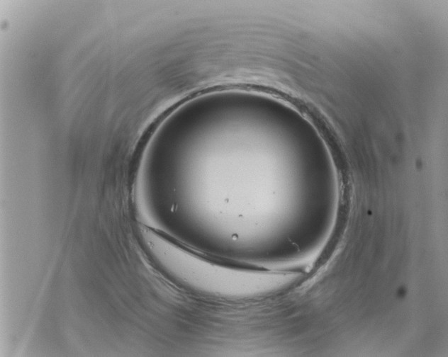 X0000073731505200608101916