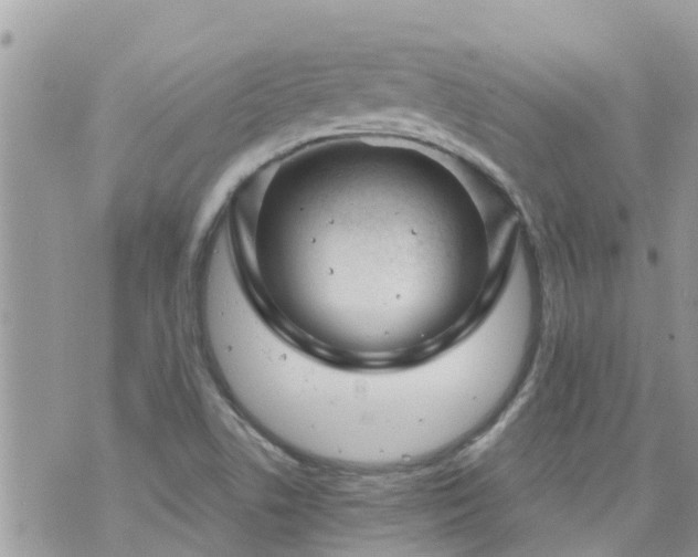 X0000073731506200608101916