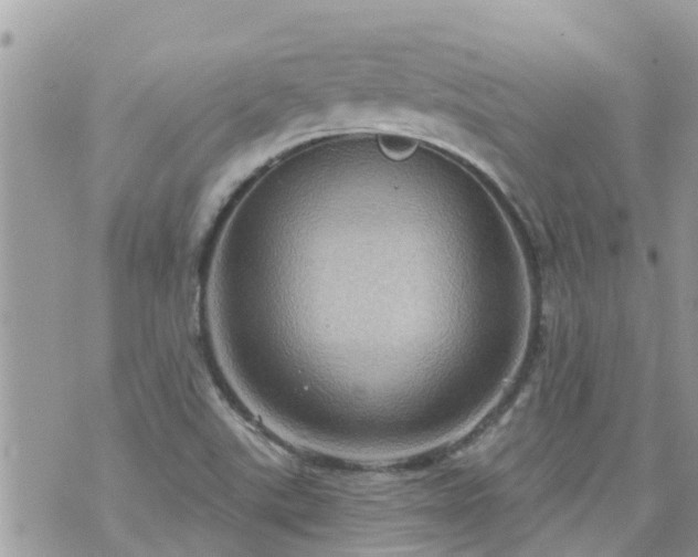 X0000073731507200608101916