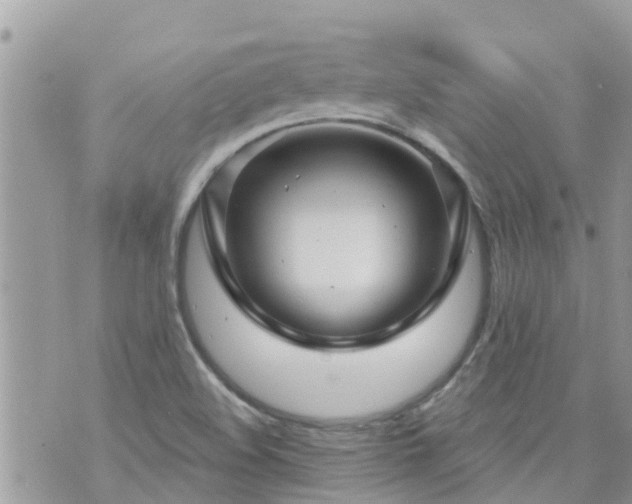 X0000073731508200608101916