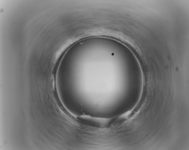 X0000073731509200608101916