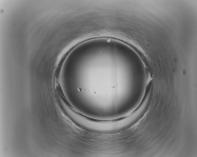 X0000073731510200608101916