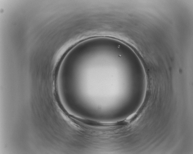 X0000073731511200608101917