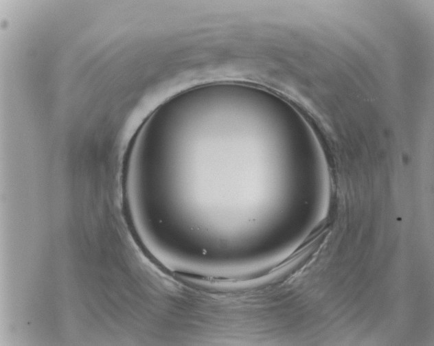 X0000073731512200608101917