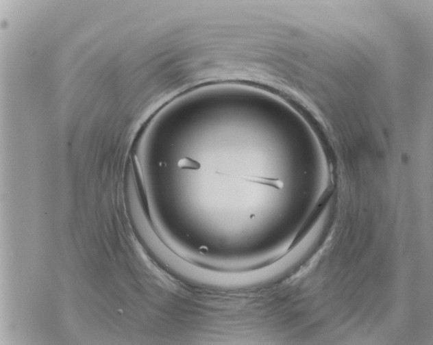 X0000073731513200608101917