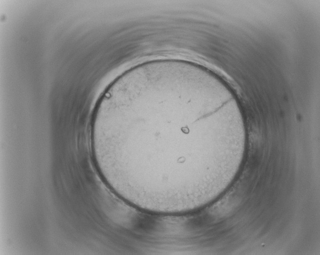 X0000073731514200608101917