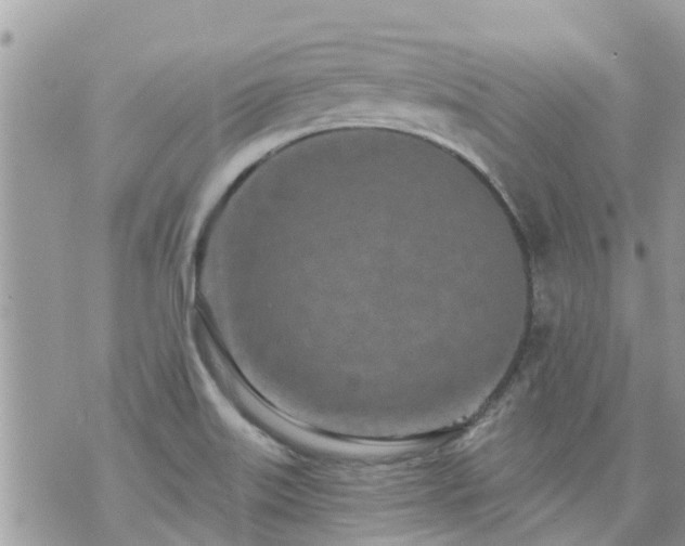 X0000073731515200608101917