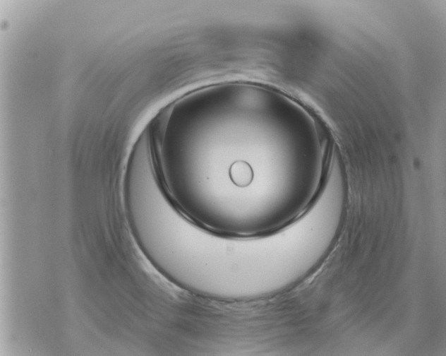 X0000073731516200608101917