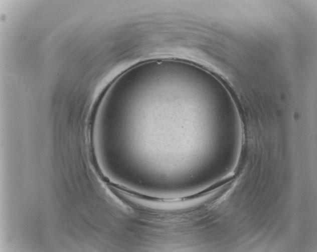 X0000073731517200608101917