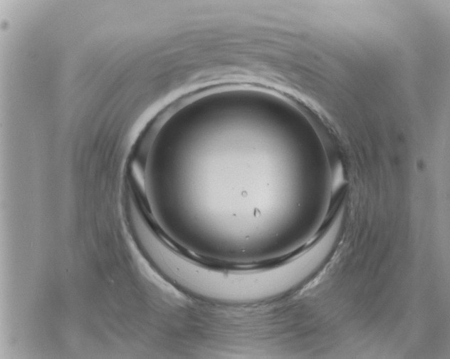 X0000073731518200608101917