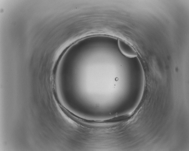 X0000073731519200608101917