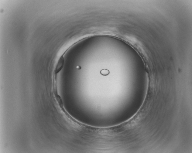 X0000073731520200608101917