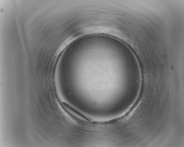 X0000073731521200608101917