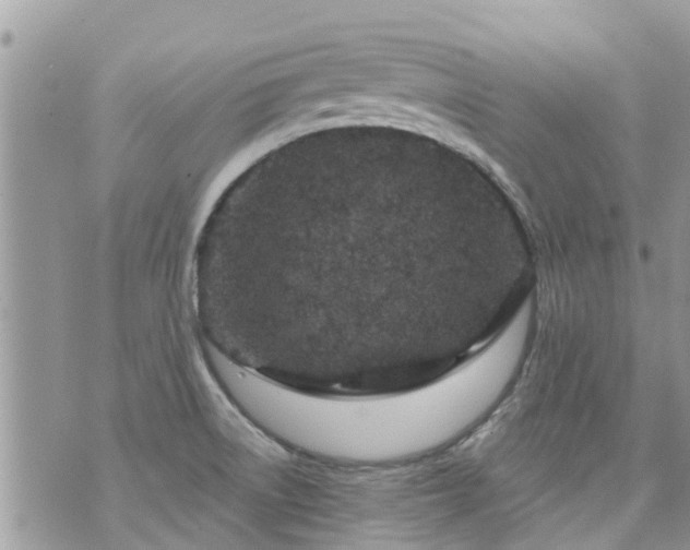 X0000073731522200608101917