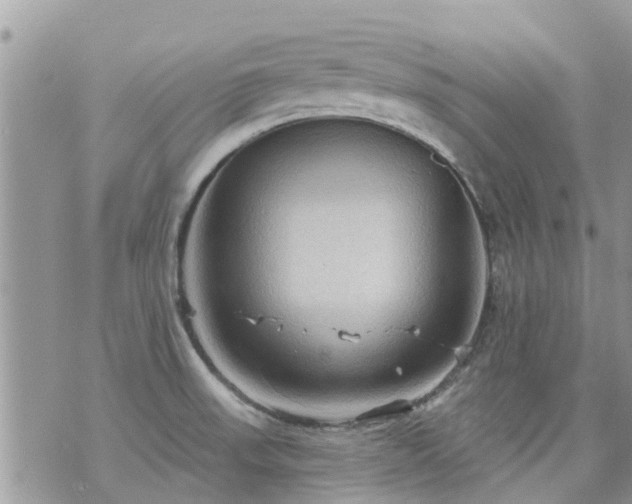 X0000073731523200608101917