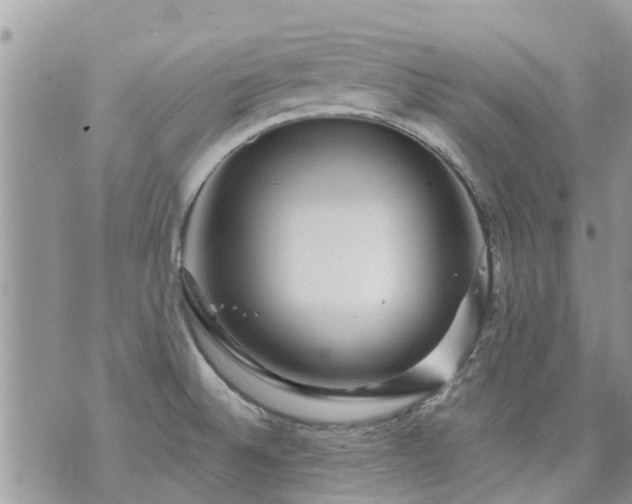 X0000073731524200608101917