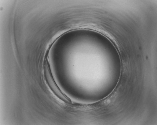 X0000073731525200608101917