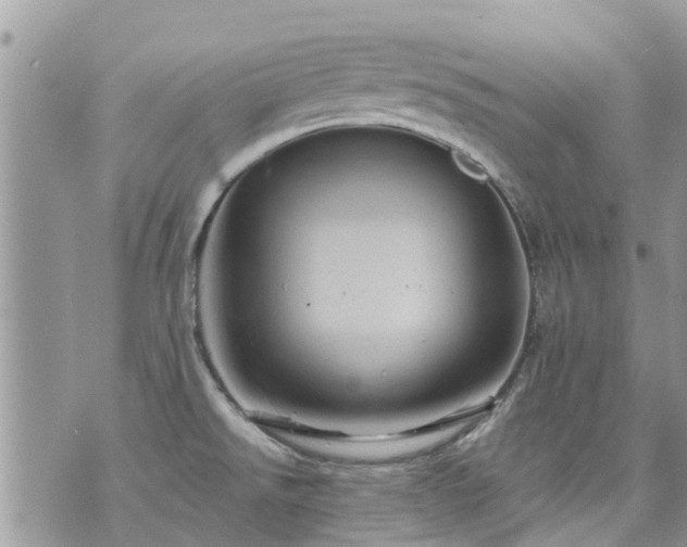 X0000073731526200608101917