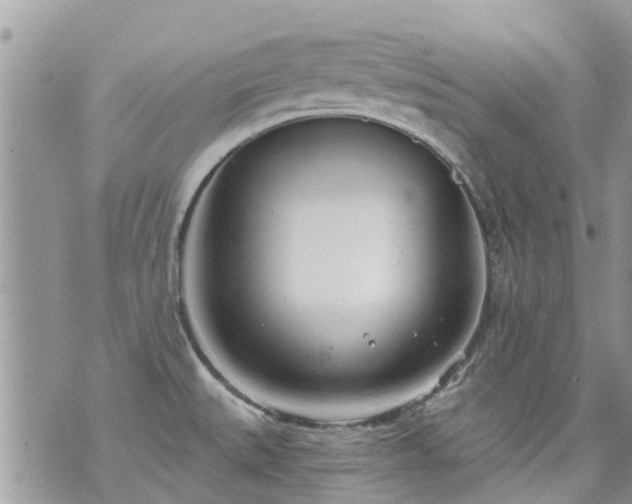 X0000073731527200608101917