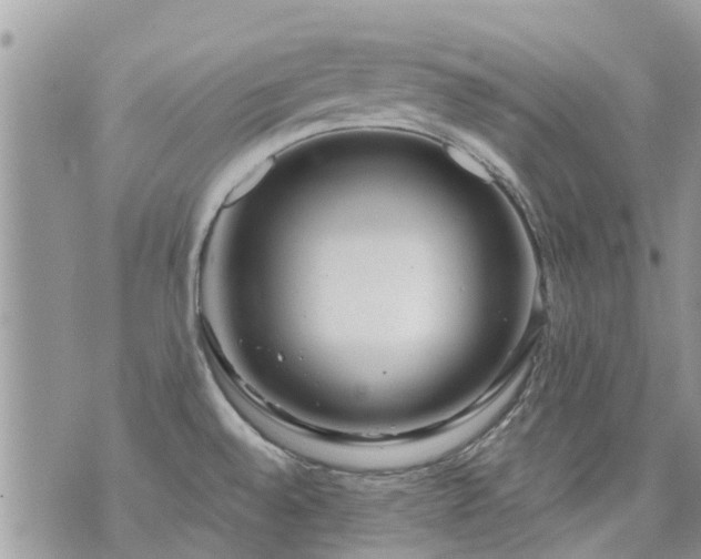 X0000073731528200608101917