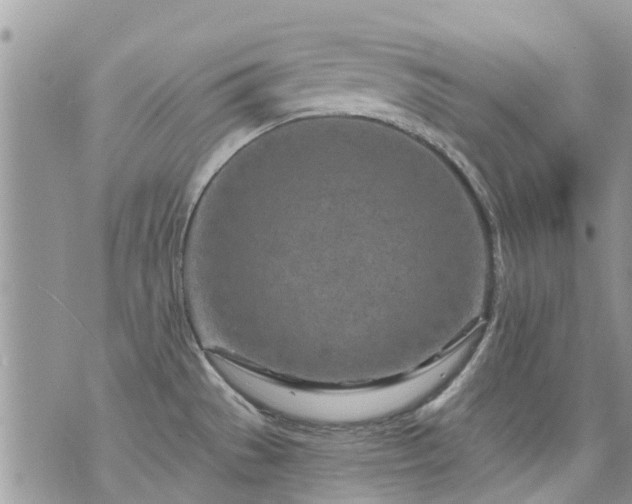 X0000073731529200608101917