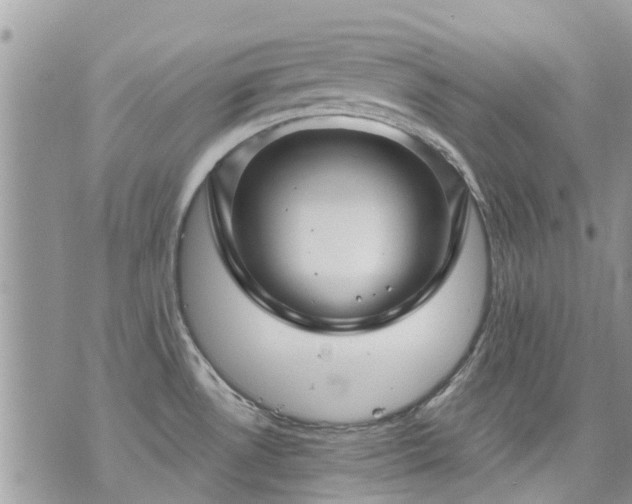 X0000073731530200608101917