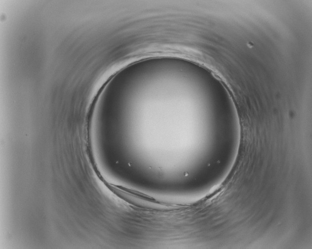 X0000073731531200608101917