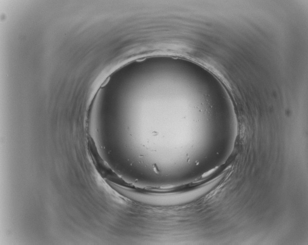 X0000073731532200608101917