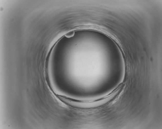 X0000073731533200608101917