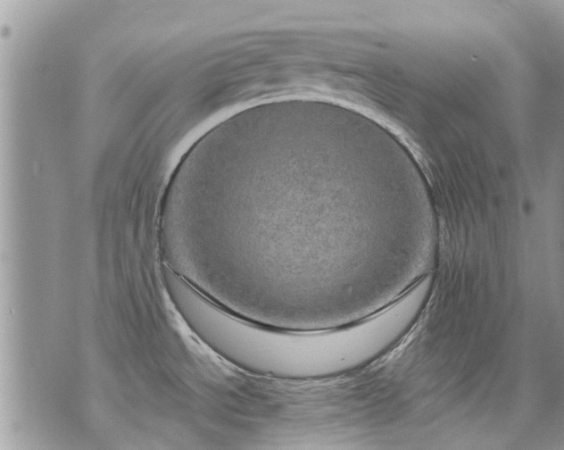 X0000073731534200608101917