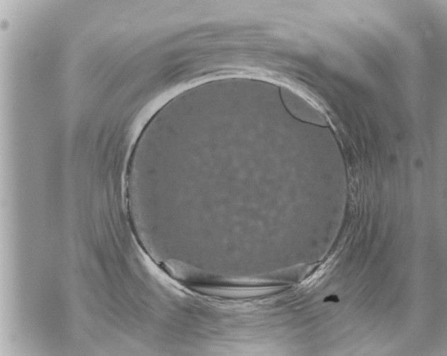 X0000073731535200608101917