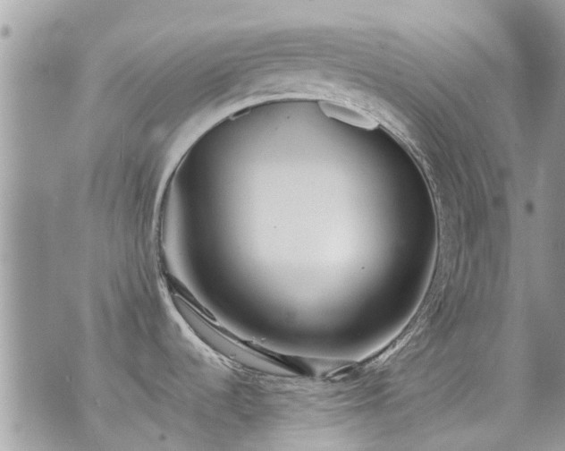 X0000073731536200608101917