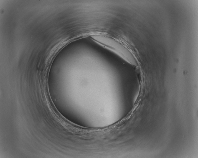 X0000073730001200608171240