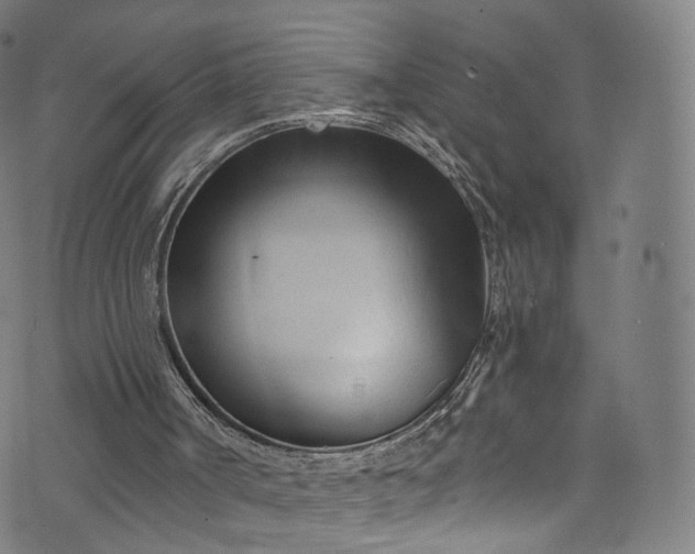 X0000073730002200608171240