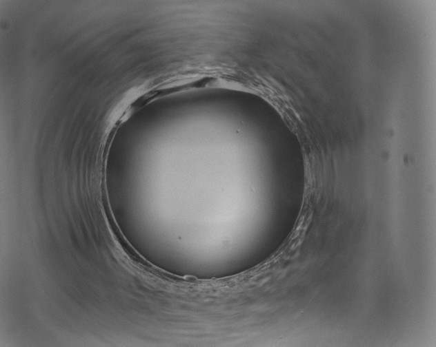 X0000073730003200608171240