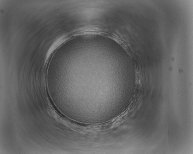 X0000073730004200608171240