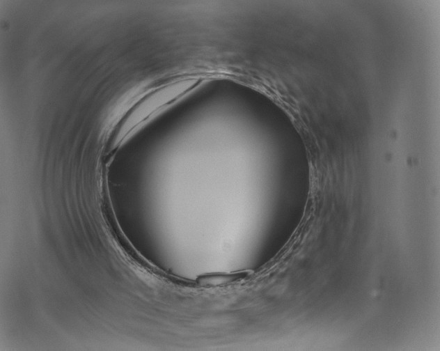 X0000073730005200608171240